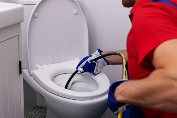 Best Local Plumber Services  in Grass Lake, MI