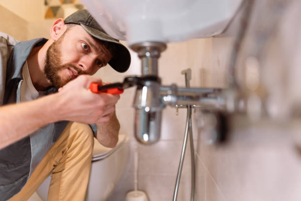 Best Drain Cleaning Services  in Grass Lake, MI