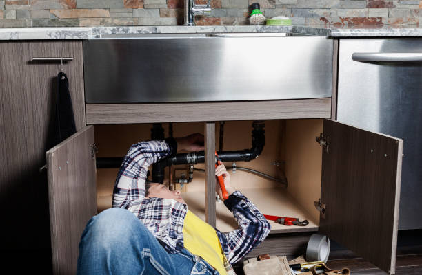 Best Clogged Drain Plumber  in Grass Lake, MI