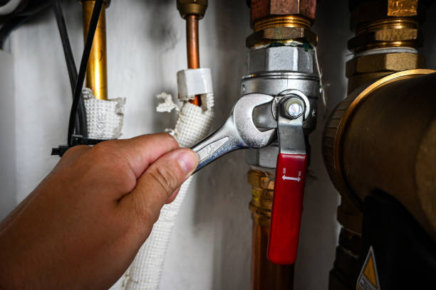 Trusted Grass Lake, MI Plumbing Experts